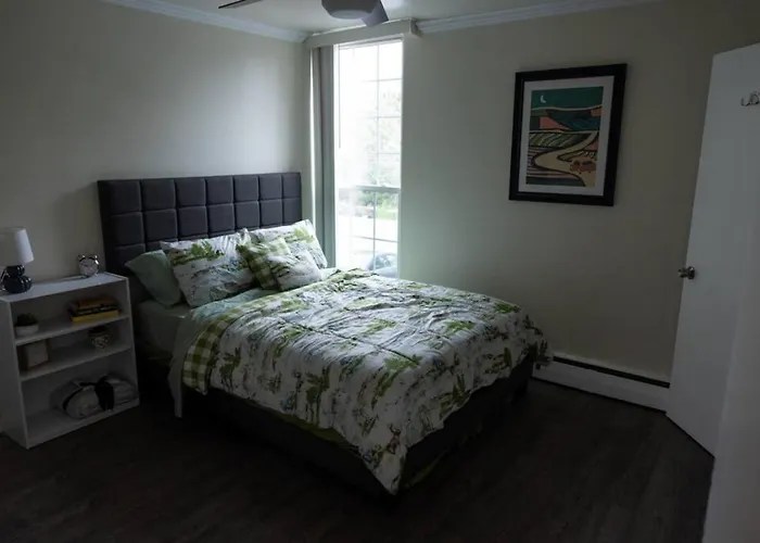 Stylish Cozy 1 Bedroom Apartment In Ferndale Mi